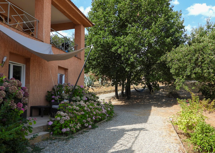 Le Clos des Milans Chambres d hôtes Corse à Rapale