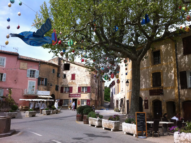 La Vieille Bergerie au Mûrier à Tourtour