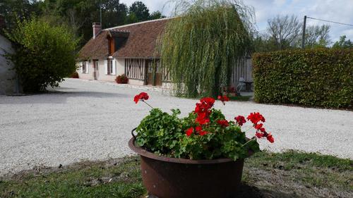 Petit Gîte du Vieux Pressoir à Cour Cheverny
