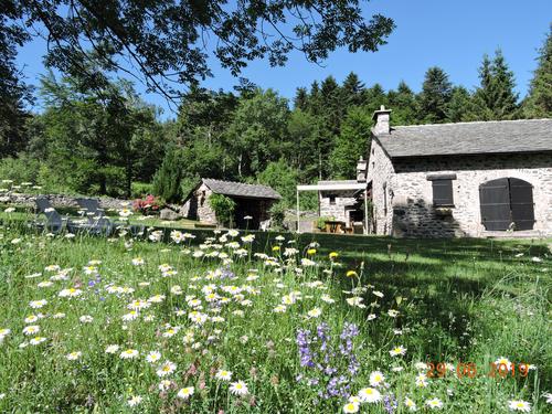 La Baissaille à Queyrières