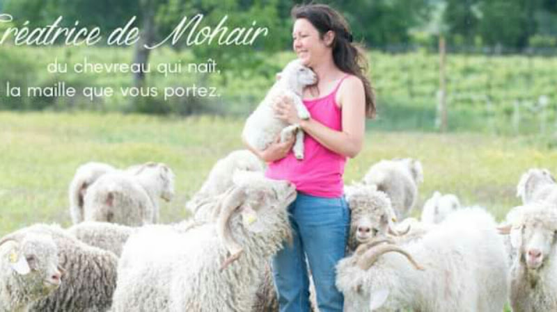 Mohair de la Ferme d Auré à Roujan