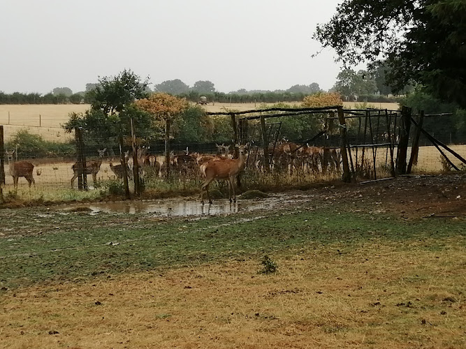 La Ferme de l Étang à Épuisay