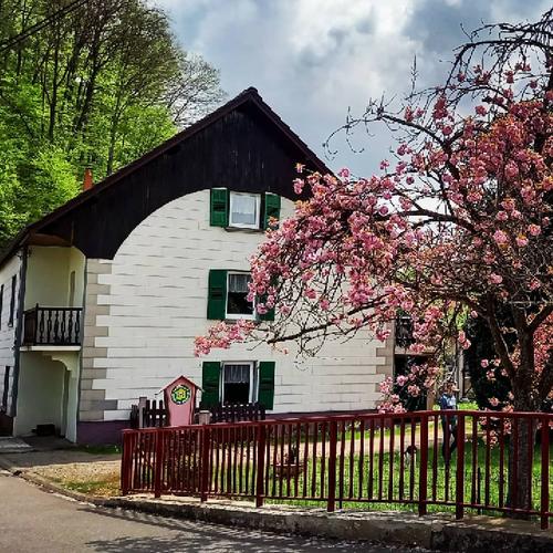 Gîte du Sonnenberg à Lambach