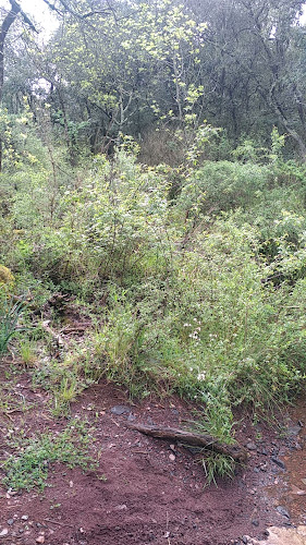 Carlencas-et-Levas à Carlencas-et-Levas