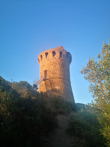 Camping Fautea à Zonza