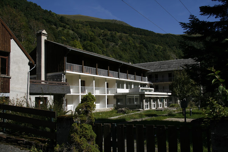 Ourson du Lys