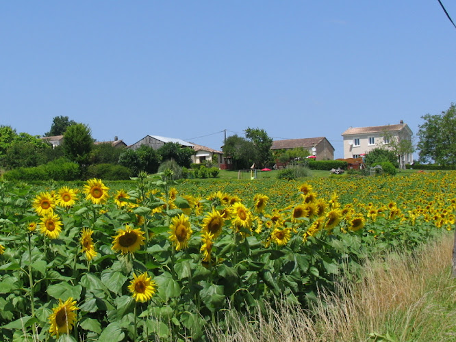 Chatenet Holiday Gites à Chatenet