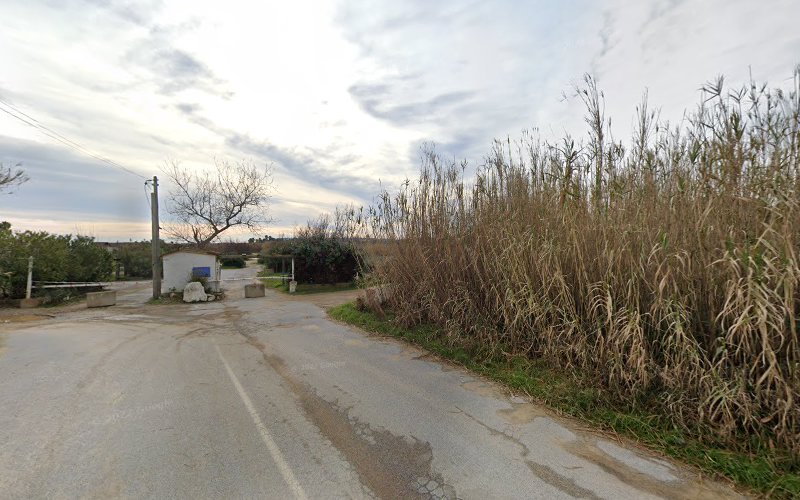 Camping De La Matarane à Ramatuelle