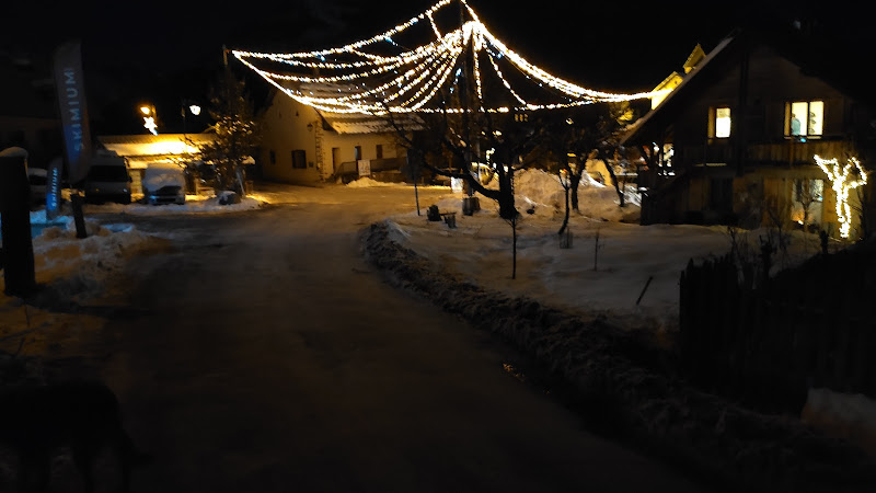 Chalet mottet à Puy-Saint-Vincent