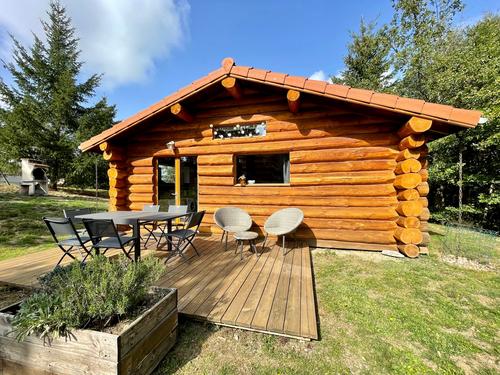 Gîtes des Pins avec Espace Détente, Babet à La Chapelle-d'Aurec