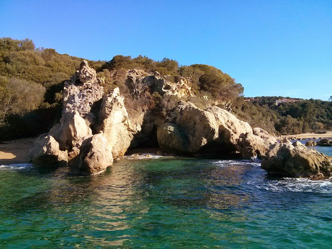 L Alivi à Olmeto