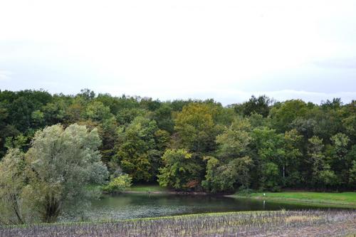 Toupinerie Bas à Montignac-Toupinerie