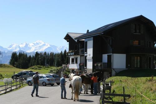 La Petite Ourse - n°1 à Praz De Lys