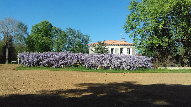 Chez Savary à Varzay