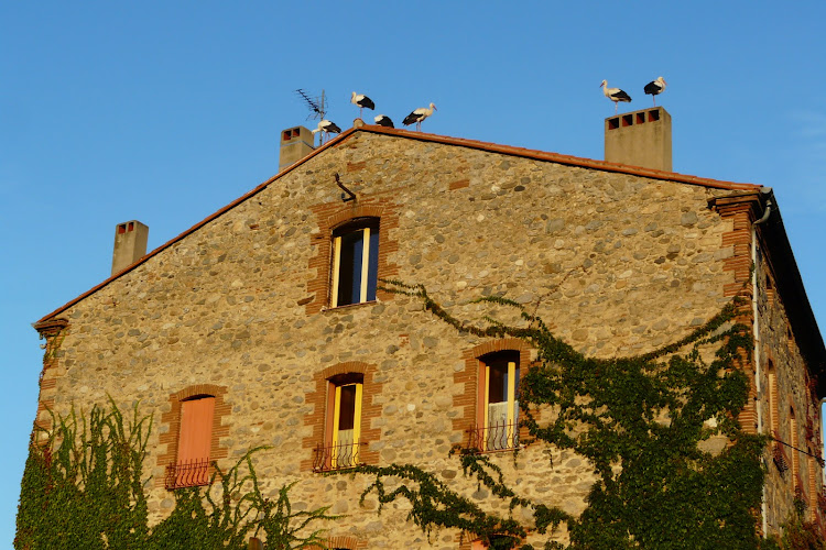 Las Tanes à Vinça
