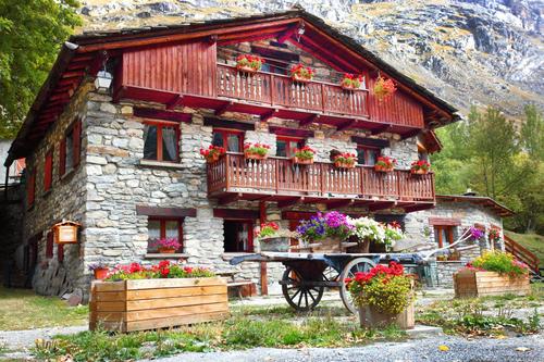 Les Narcisses à Bonneval Sur Arc