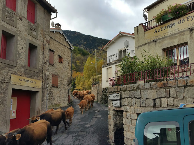 Chambres D Hôtes Gr 10 . Py 66360- à Py