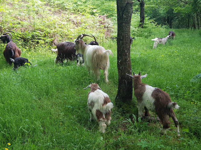 La ferme d Autan à Terre-de-Bancalié