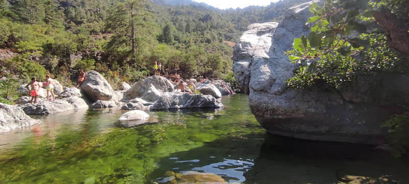 Castirla à Castirla