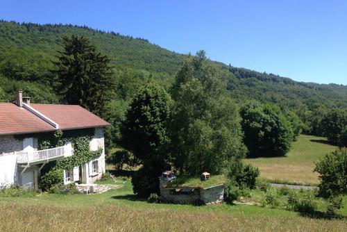 Au cœur des Hêtres à PRESLES